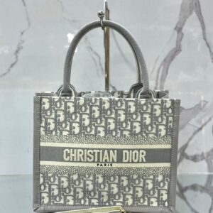 Grey Dior Bag